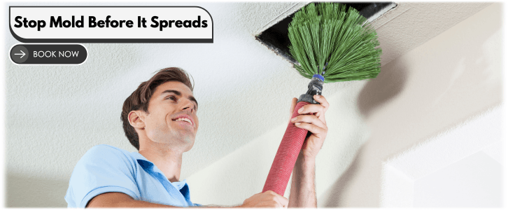 Air Duct Mold Removal in Sugar Land TX