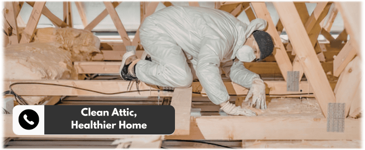 Attic Cleaning Sugar Land TX